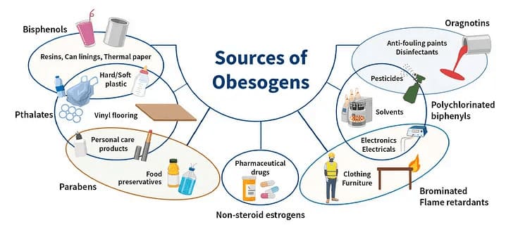 biolean review